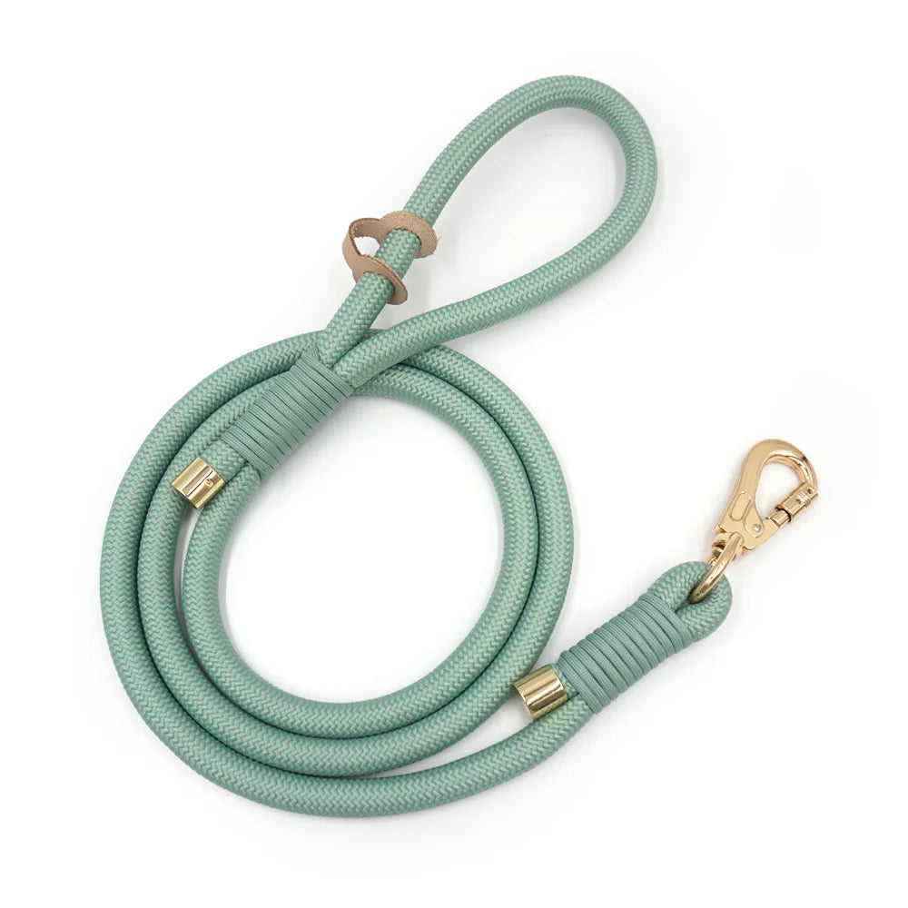 Premium Mintgrün personalisiertes Hundeset