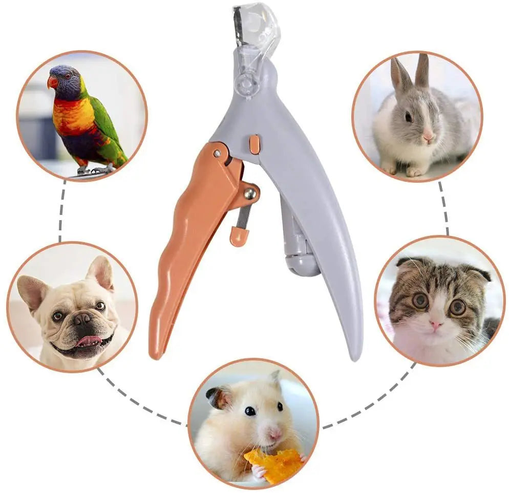 LED Krallenschere für Hunde & Katzen – Professioneller Nagelknipser für sichere Krallenpflege