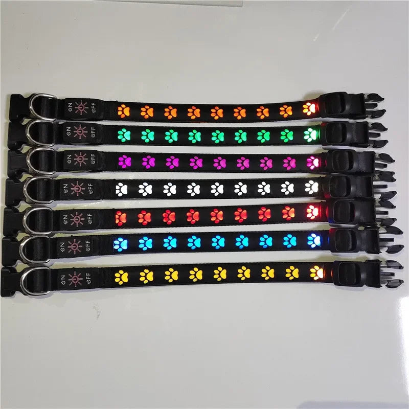 LED Hundehalsband leuchtend mit Pfotenmotiv – Sicherheits-Halsband für Hunde & Welpen