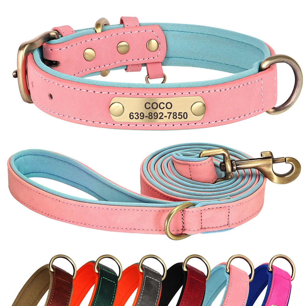 Personalisiertes Hundehalsband mit Leine aus PU-Leder – Gepolstert mit Namensschild für kleine bis große Hunde