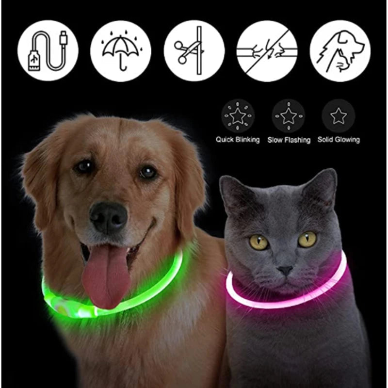 LED-Hundehalsband mit USB-Ladung – Leuchtendes, verstellbares Sicherheits-Halsband für Hunde & Katzen