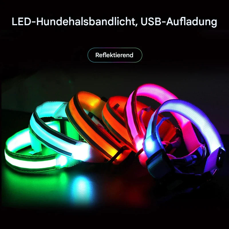 LED Hundehalsband USB wiederaufladbar – Reflektierendes Leuchthalsband für Hunde & Katzen (XS–XL)