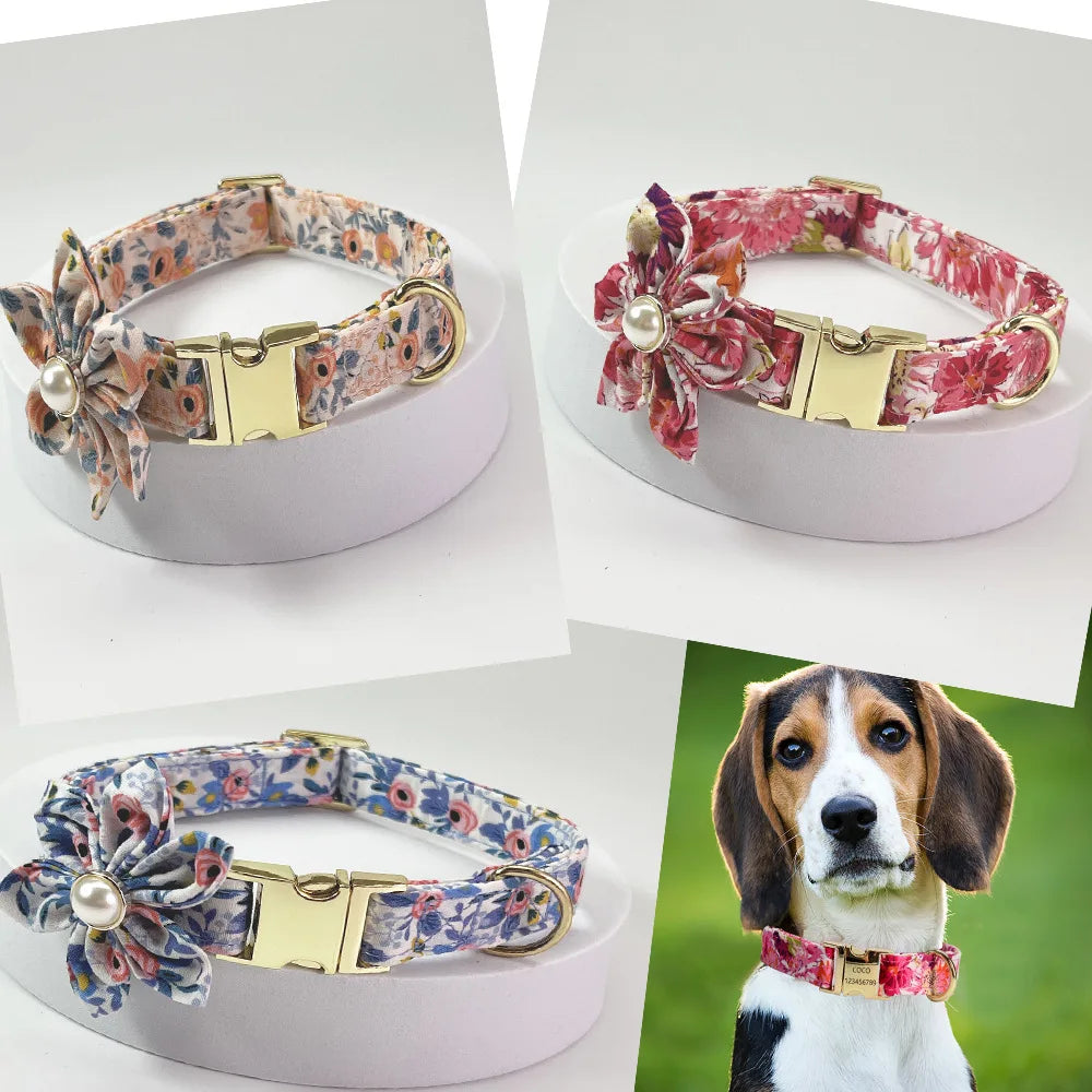 Personalisiertes Hundehalsband mit Leine – Bedrucktes Set mit kostenloser Gravur für Hunde & Katzen