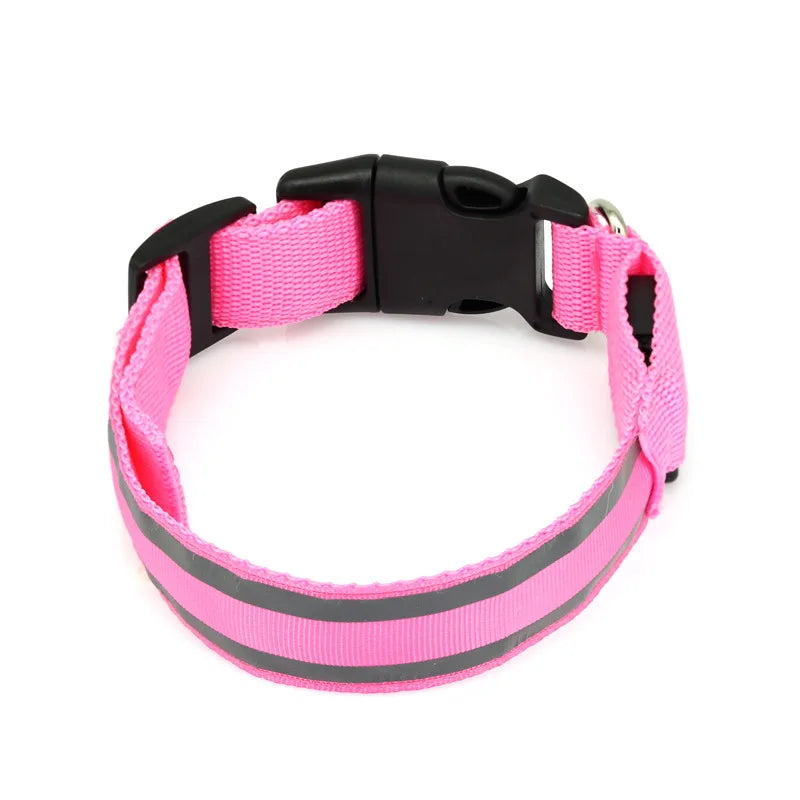 LED Hundehalsband USB wiederaufladbar – Reflektierendes Leuchthalsband für Hunde & Katzen (XS–XL)