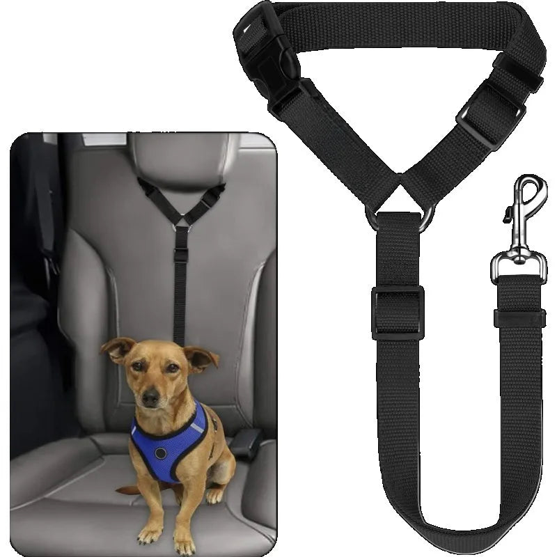 Verstellbarer Hunde-Sicherheitsgurt fürs Auto – Nylon-Gurt mit Halsband & Leine für die Rückbank