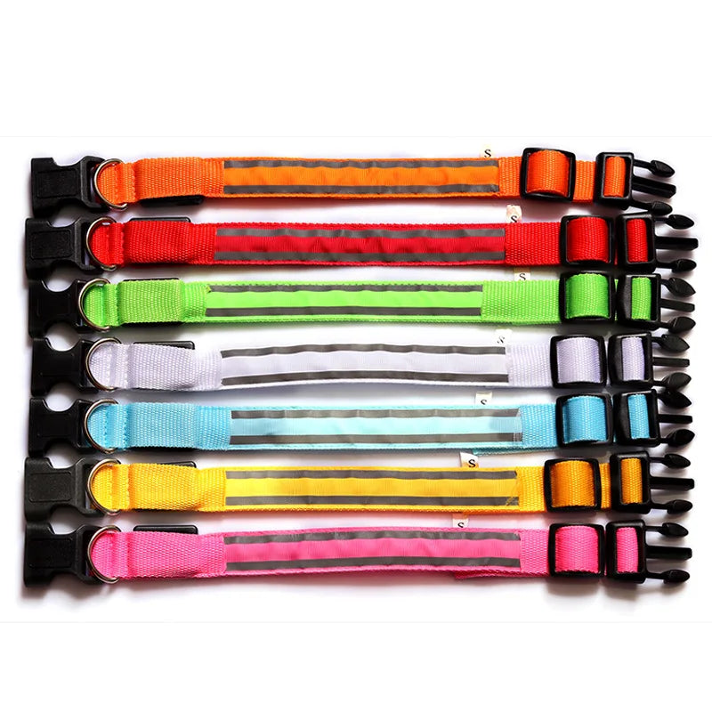LED Hundehalsband USB wiederaufladbar – Reflektierendes Leuchthalsband für Hunde & Katzen (XS–XL)