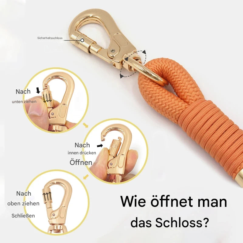 Premium Mintgrün personalisiertes Hundeset