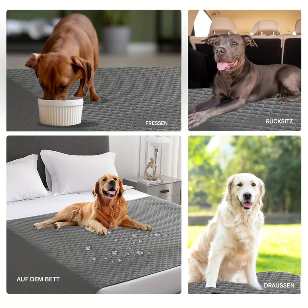 Auslaufsichere & rutschfeste Hundedecke – Sofaschutz, Bettauflage & Autoschutz für Hunde & Katzen