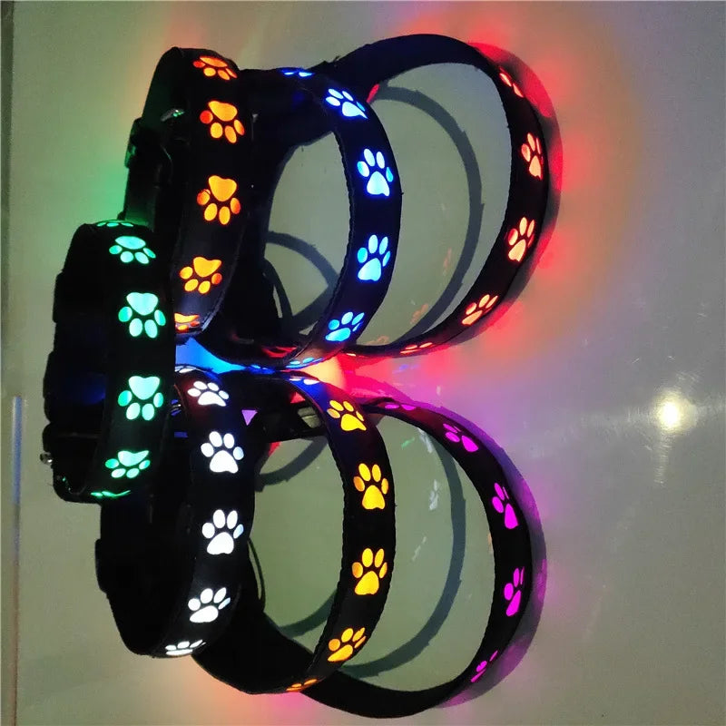LED Hundehalsband leuchtend mit Pfotenmotiv – Sicherheits-Halsband für Hunde & Welpen