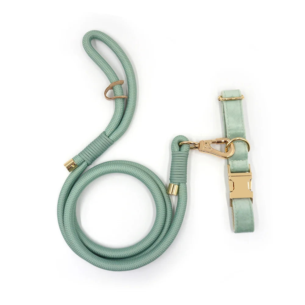 Premium Mintgrün personalisiertes Hundeset