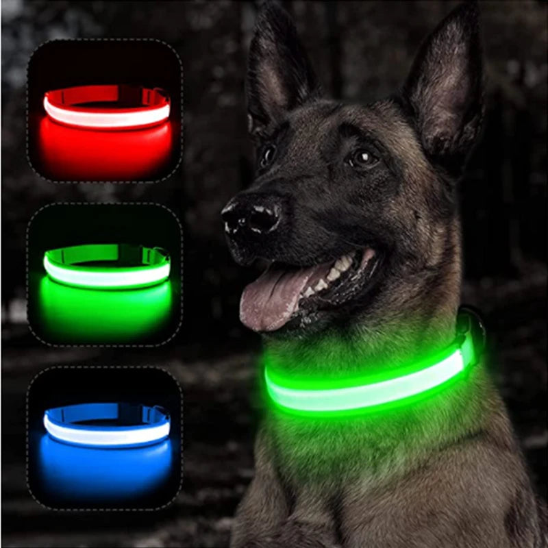 LED-Hundehalsband mit USB-Ladung – Leuchtendes, verstellbares Sicherheits-Halsband für Hunde & Katzen