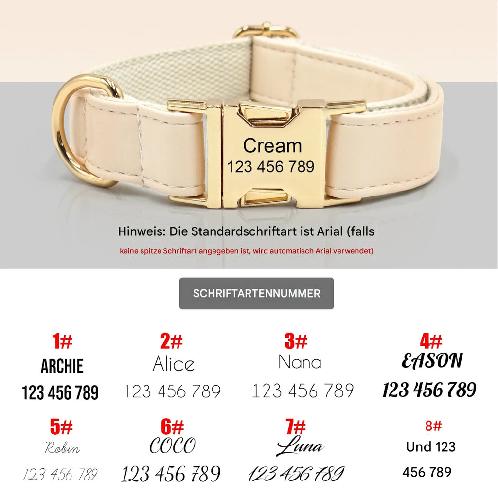 Premium Mintgrün personalisiertes Hundeset