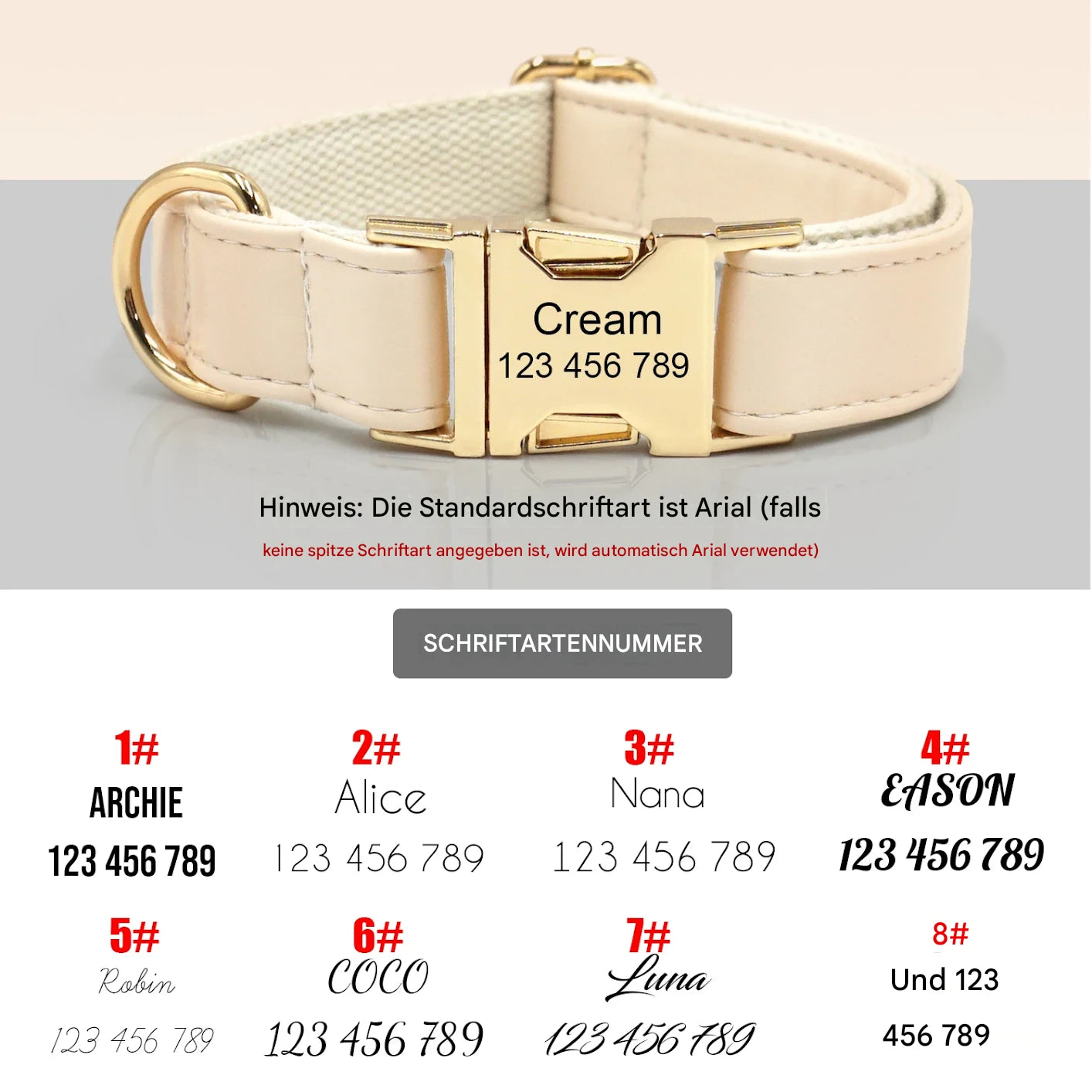 Premium Mintgrün personalisiertes Hundeset