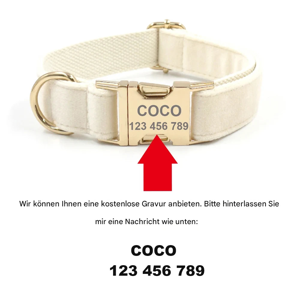 Hundehalsband „Honey Peach“ personalisiert – Luxus Set mit Schleife, Leine & Kotbeutelspender für Hunde & Katzen