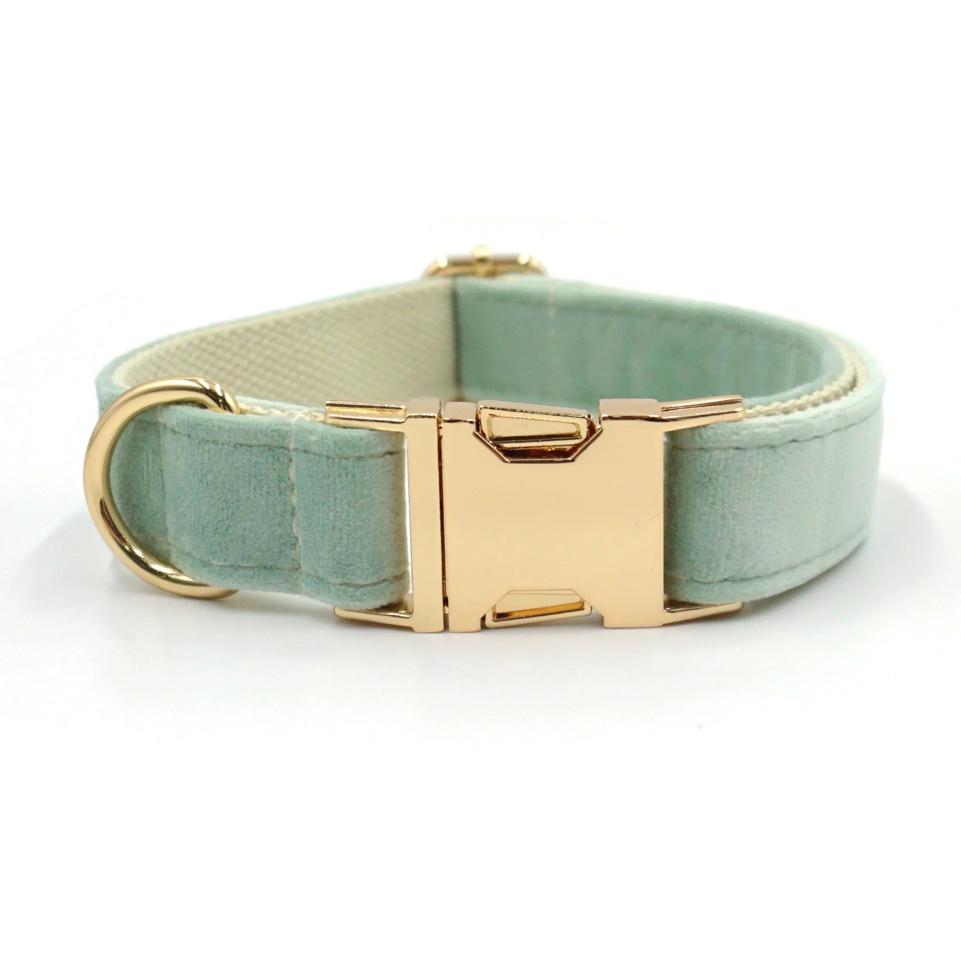 Premium Mintgrün personalisiertes Hundeset