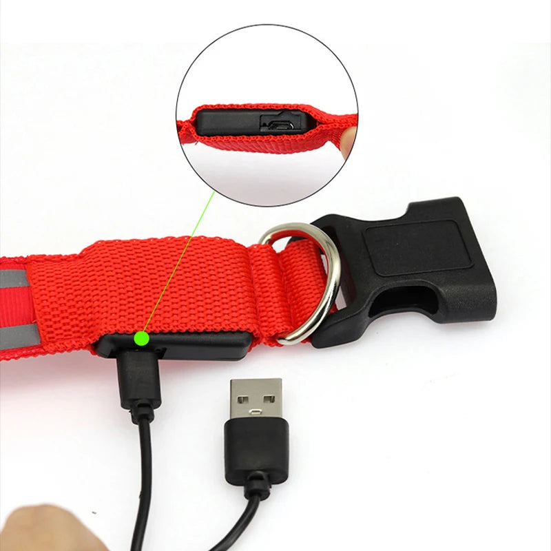 LED Hundehalsband USB wiederaufladbar – Reflektierendes Leuchthalsband für Hunde & Katzen (XS–XL)