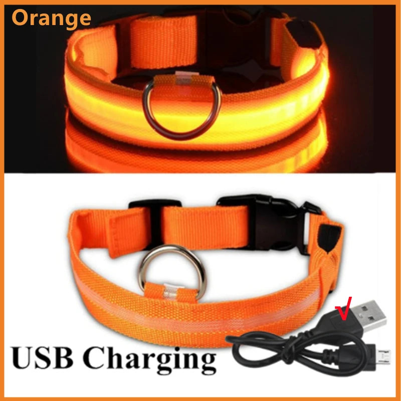 LED-Hundehalsband mit USB-Ladung – Leuchtendes, verstellbares Sicherheits-Halsband für Hunde & Katzen