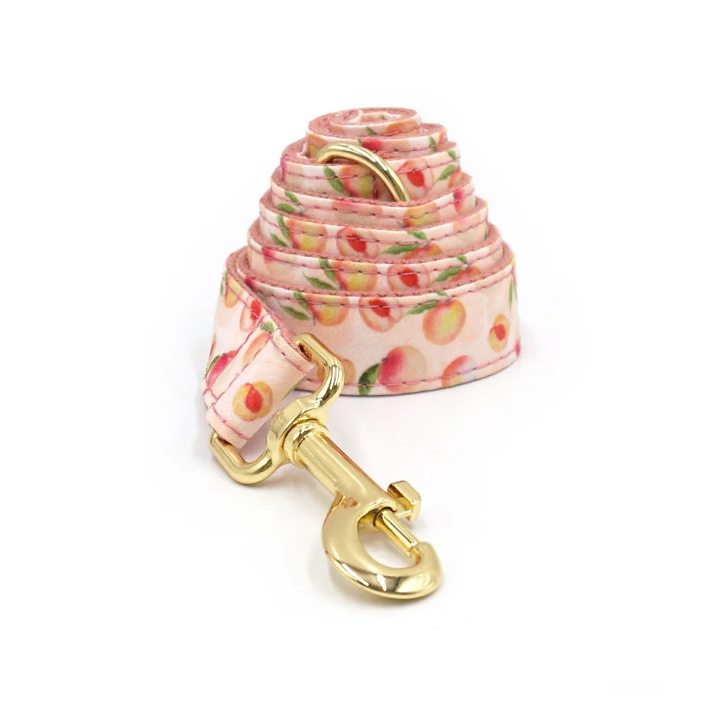 Hundehalsband „Honey Peach“ personalisiert – Luxus Set mit Schleife, Leine & Kotbeutelspender für Hunde & Katzen