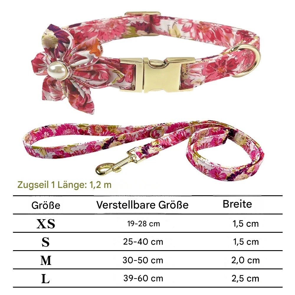 Personalisiertes Hundehalsband mit Leine – Bedrucktes Set mit kostenloser Gravur für Hunde & Katzen
