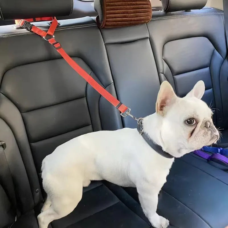 Verstellbarer Hunde-Sicherheitsgurt fürs Auto – Nylon-Gurt mit Halsband & Leine für die Rückbank