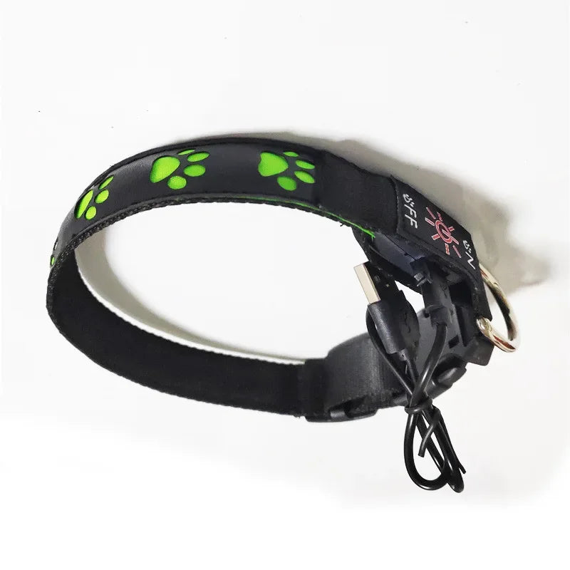 LED Hundehalsband leuchtend mit Pfotenmotiv – Sicherheits-Halsband für Hunde & Welpen