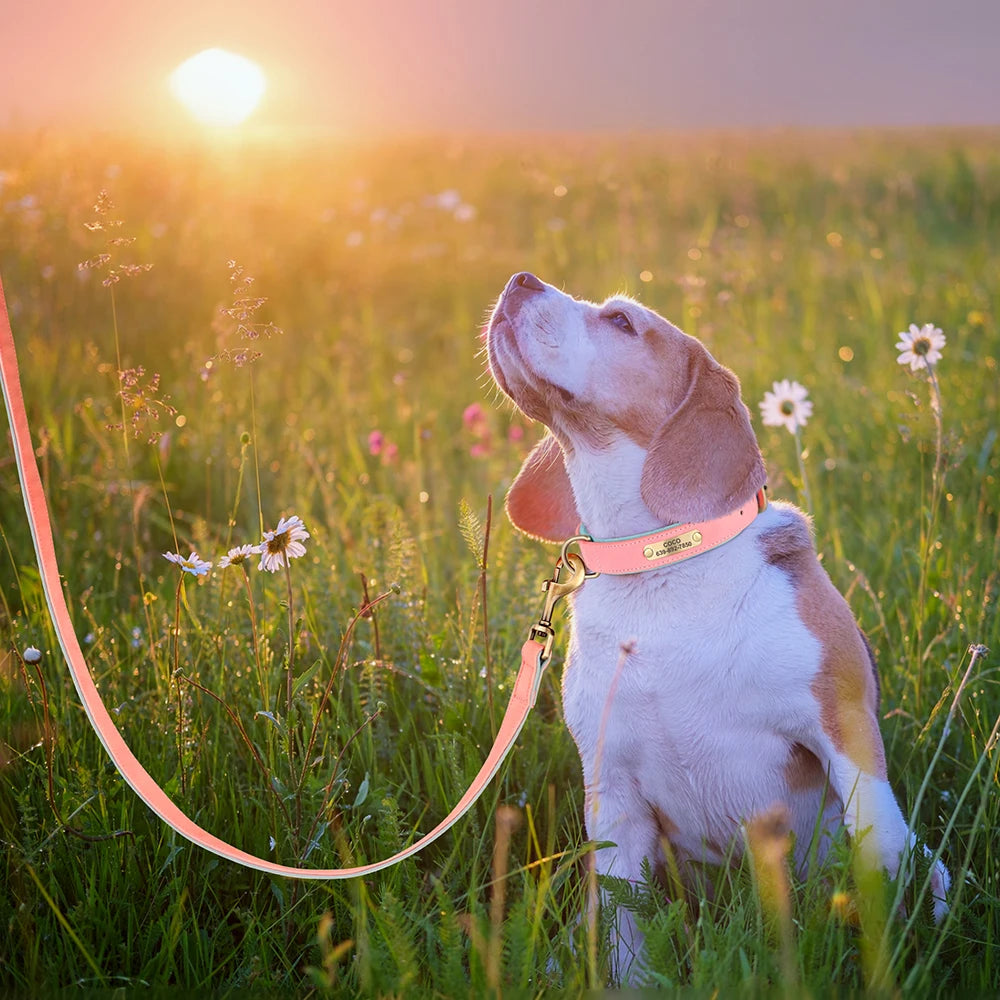 Personalisiertes Hundehalsband mit Leine aus PU-Leder – Gepolstert mit Namensschild für kleine bis große Hunde