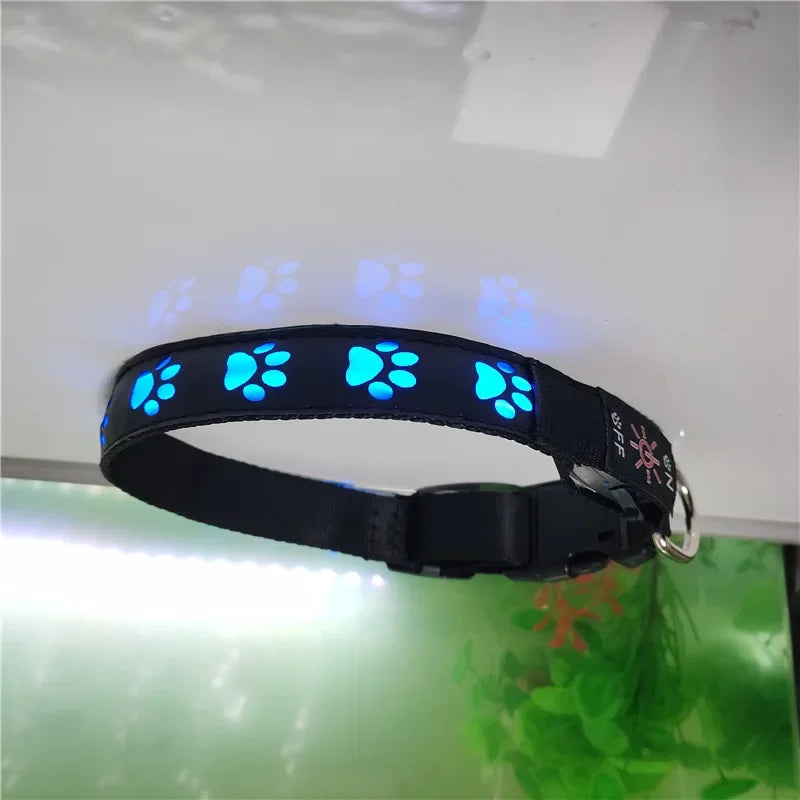 LED Hundehalsband leuchtend mit Pfotenmotiv – Sicherheits-Halsband für Hunde & Welpen